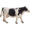 Vaca Holstein